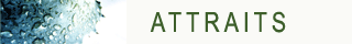 Attraits
