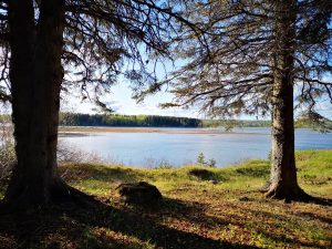 foret et lac