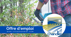 offre emploi journalier saisonnier horticulture
