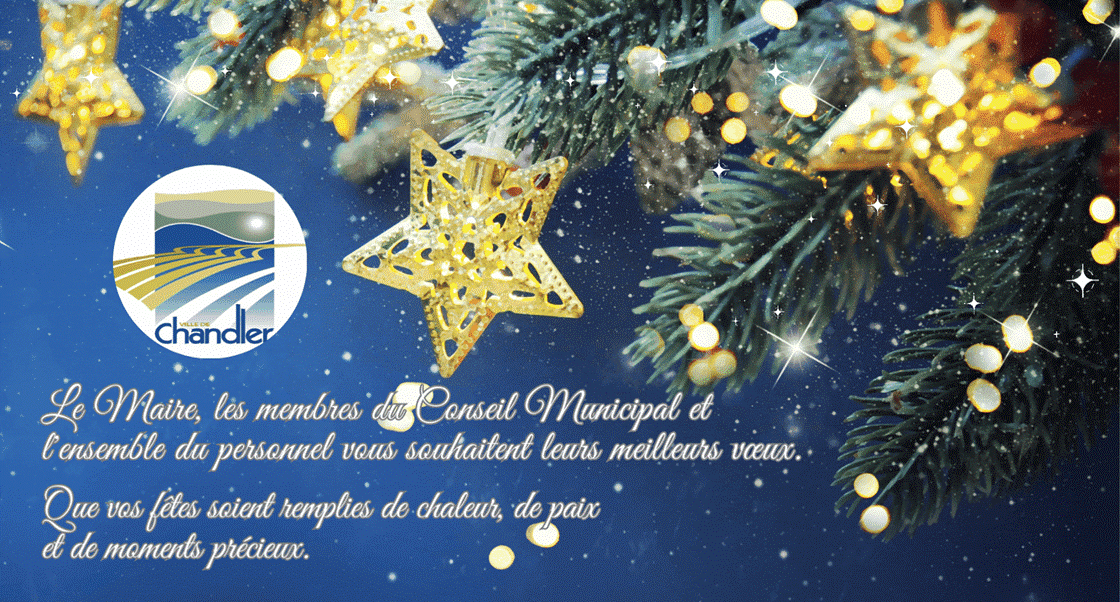 Joyeuses Fêtes 2024